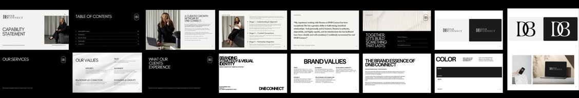 DNB Connect capability statement and brand system
